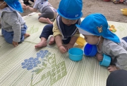 違ャ若鴻