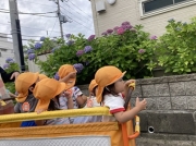 違ャ若鴻
